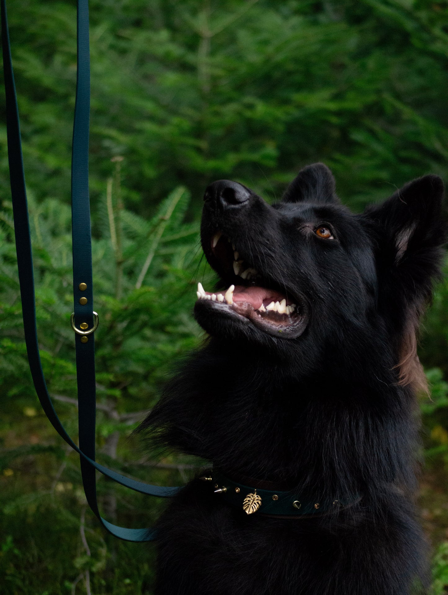 Laisse Multipositions BioThane® 19mm