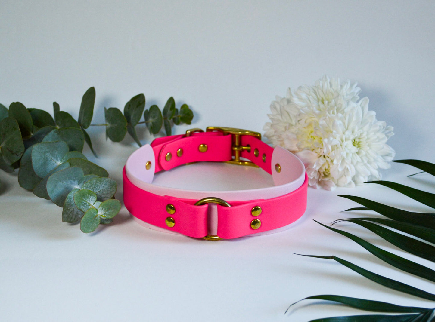 Collier Fenra 25-38mm