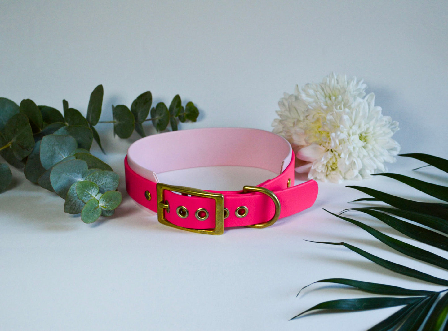 Collier Fenra 25-38mm