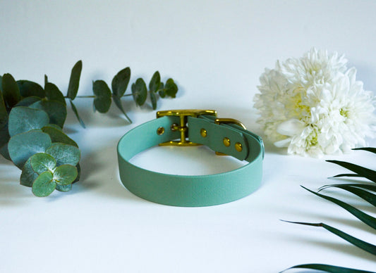 Collier BioThane® 25mm