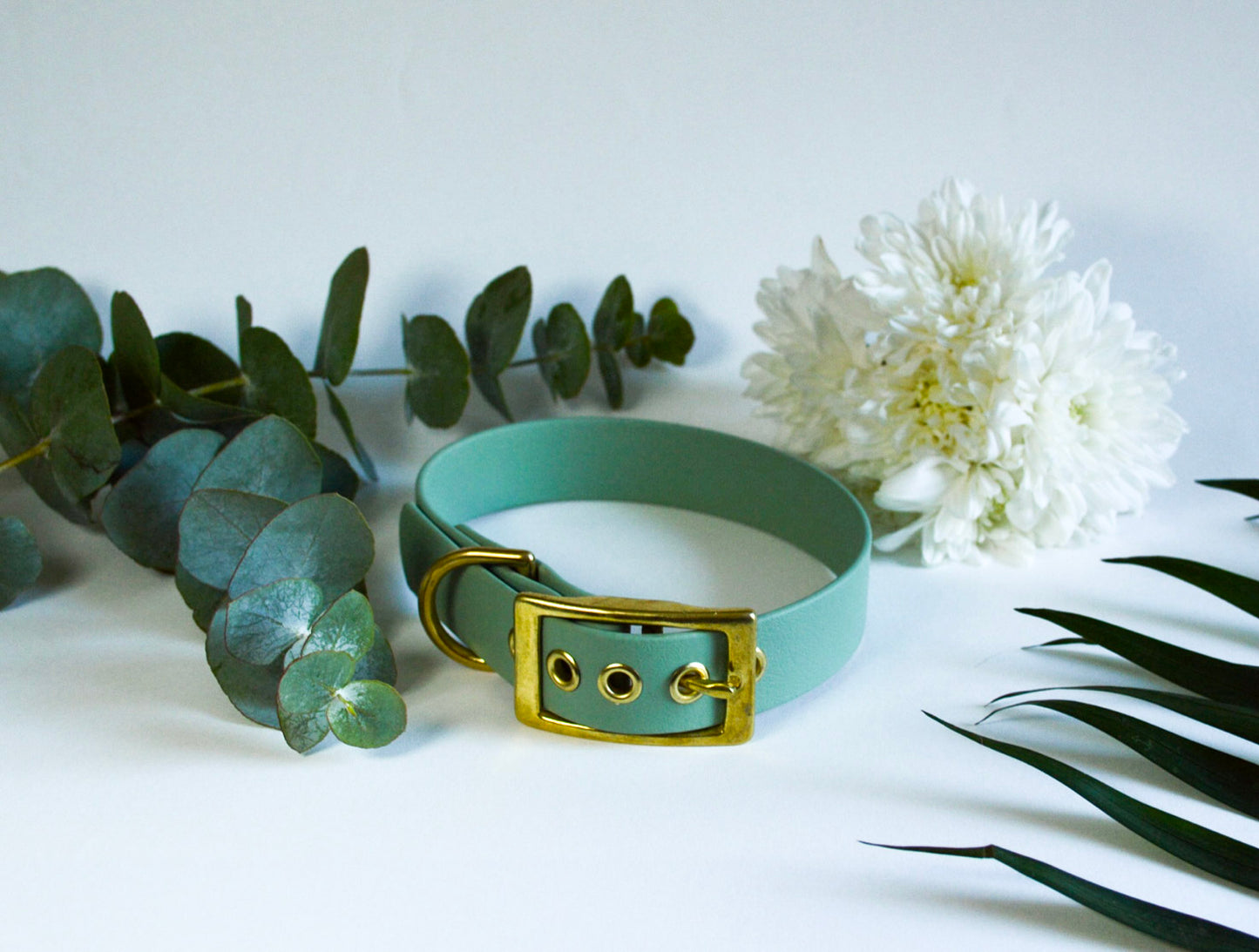 Collier BioThane® 25mm