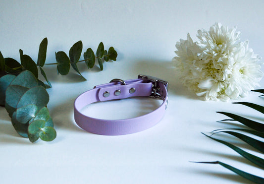 Collier BioThane® 19mm