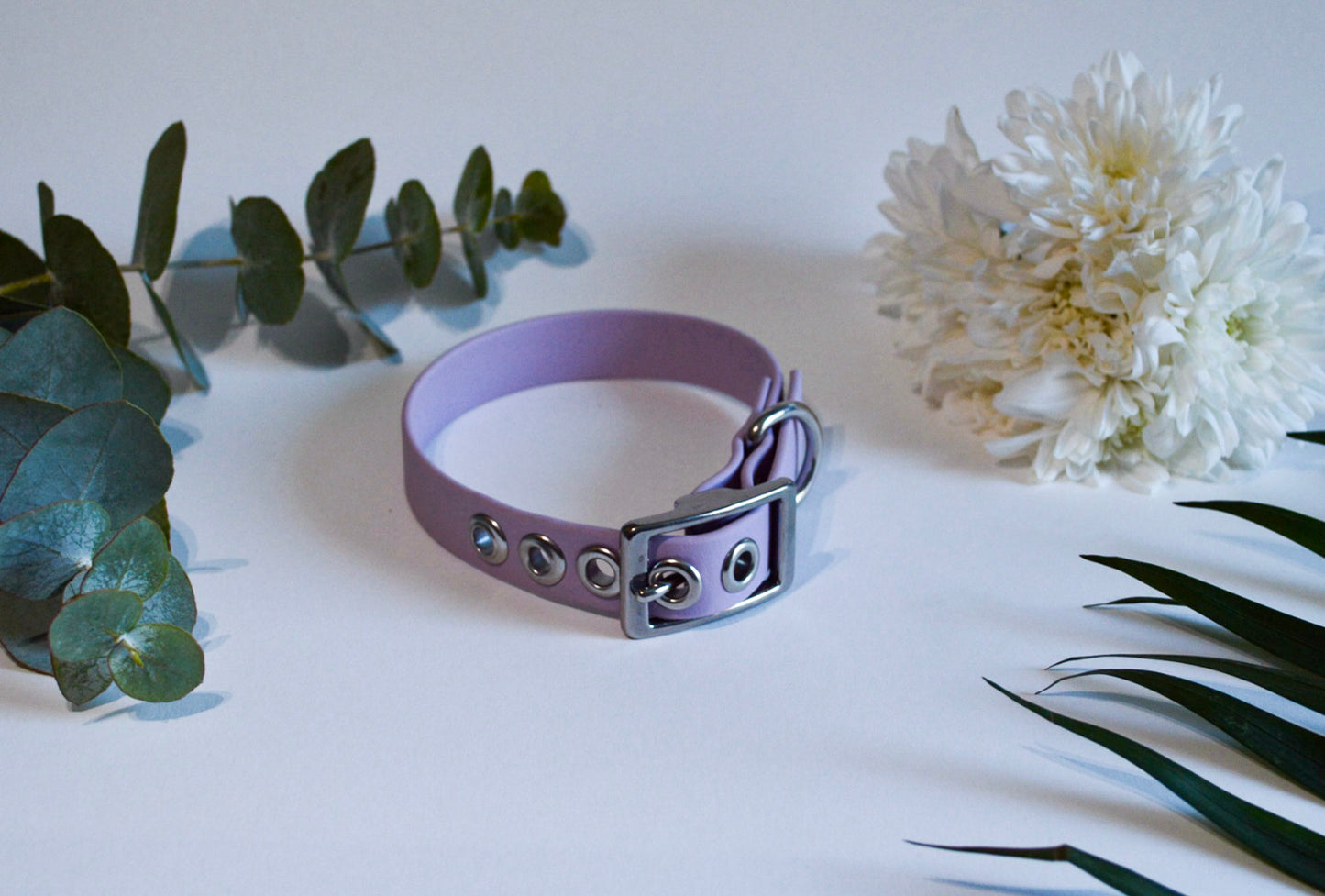Collier BioThane® 19mm
