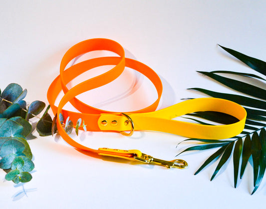 Laisse BioThane® 25mm