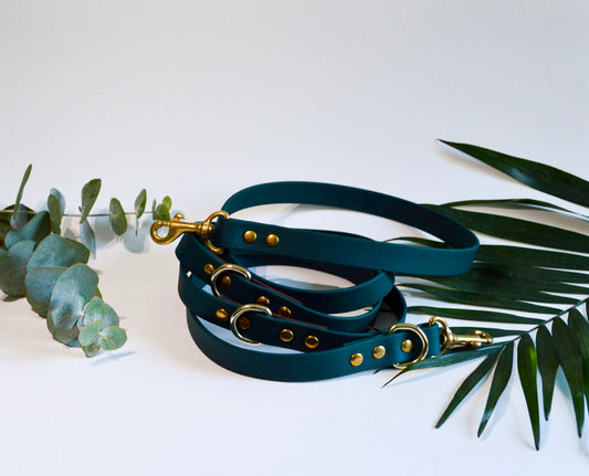 Laisse Multipositions BioThane® 19mm