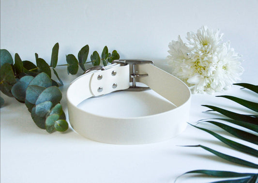 Collier BioThane® 38mm